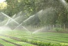 Mongarlowelandscaping-water-management-and-drainage-17.jpg; ?>